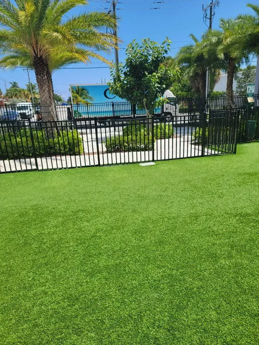 Sunny tropical pool area with palm trees, black fence, and bright green lawn overlooking blue water