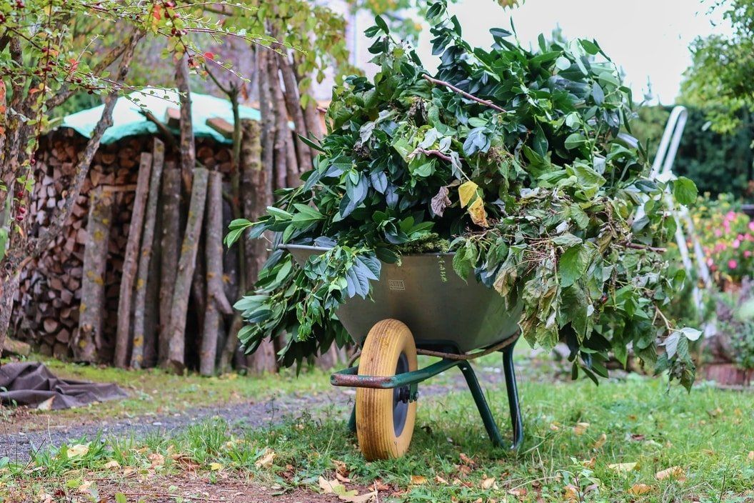 Wheelbarrow full of tree branches, other yard debris in the background