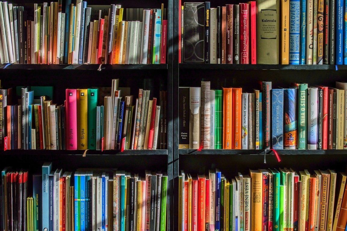 Books that were donated, organized on a shelf