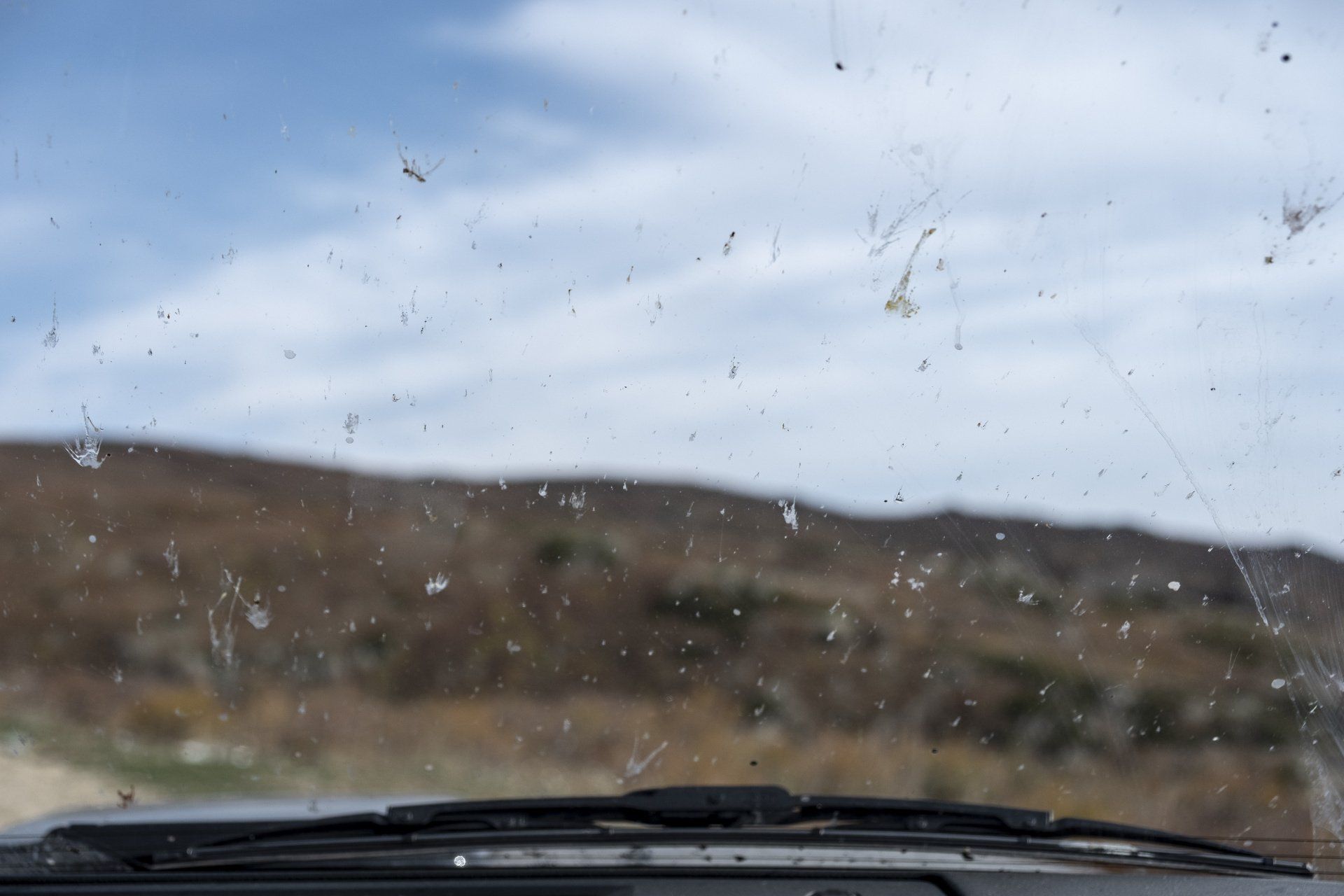glassparency bugs wash away