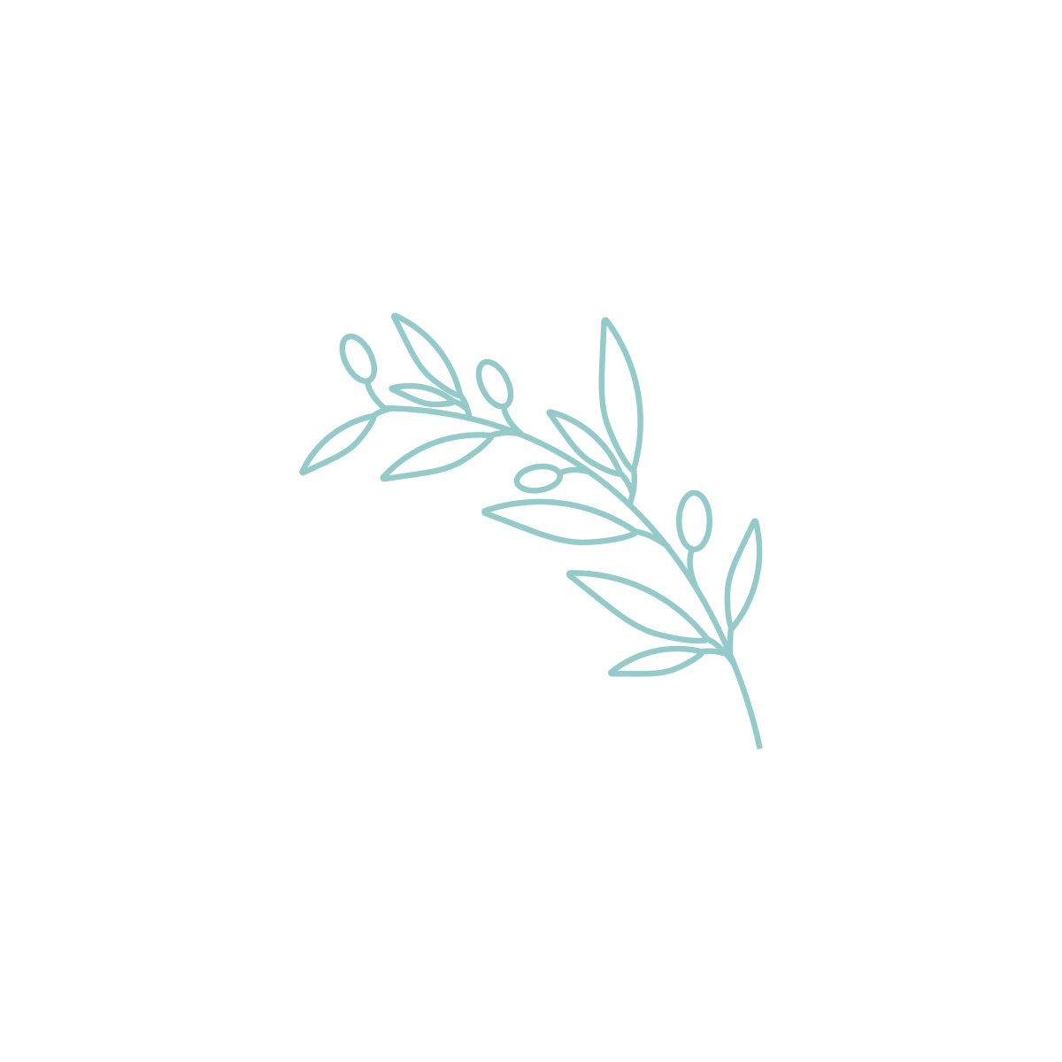 Simple line drawing of an olive branch, in dark blue-green on a light grey background