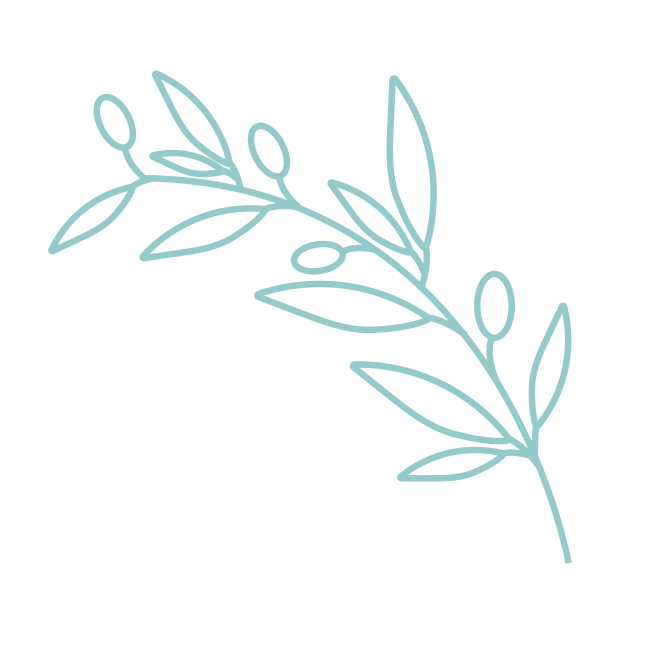 Simple line drawing of an olive branch, in dark blue-green on a light grey background