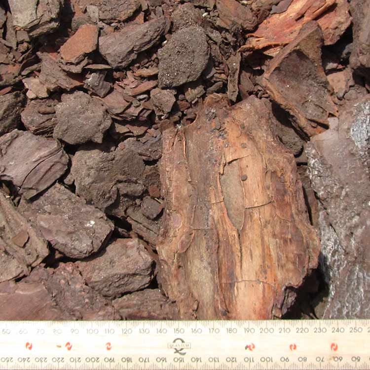 Pile of Brown Wood Bark Pieces With a Ruler at the Bottom — Kuranda Landscape Supplies in Kuranda, QLD