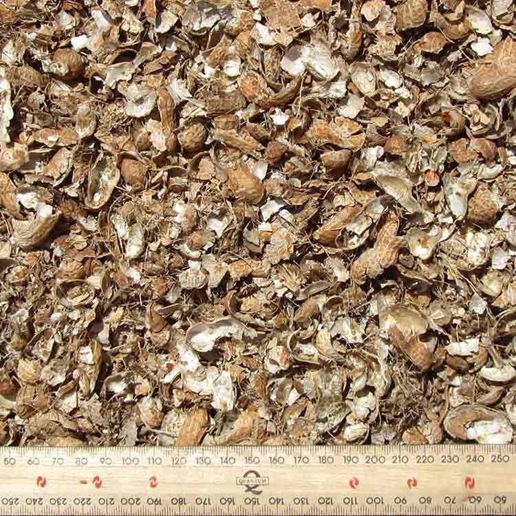 Pile of Peanut Shells With a Ruler at the Bottom for Scale — Kuranda Landscape Supplies in Kuranda, QLD