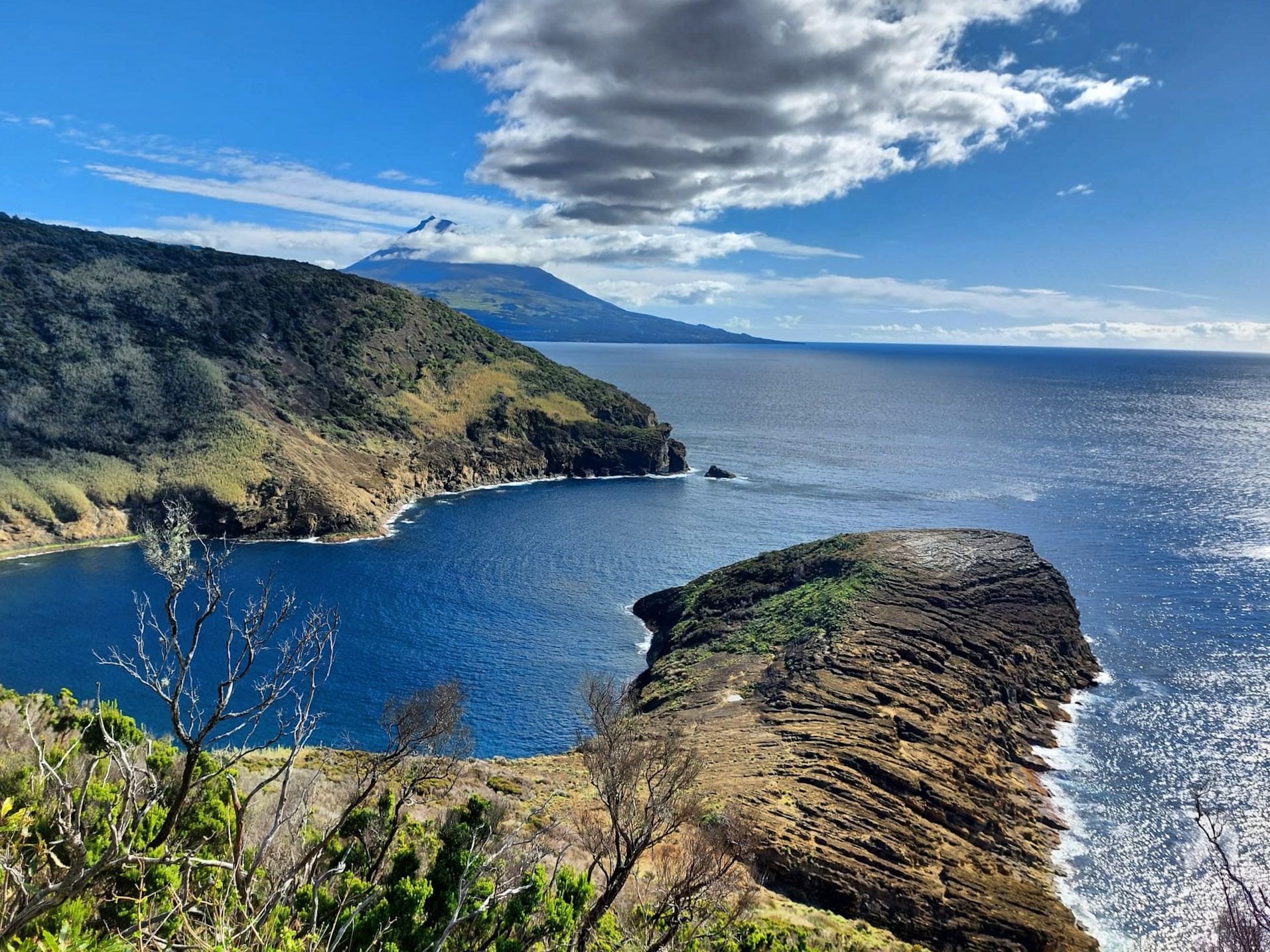 Faial tours Azores