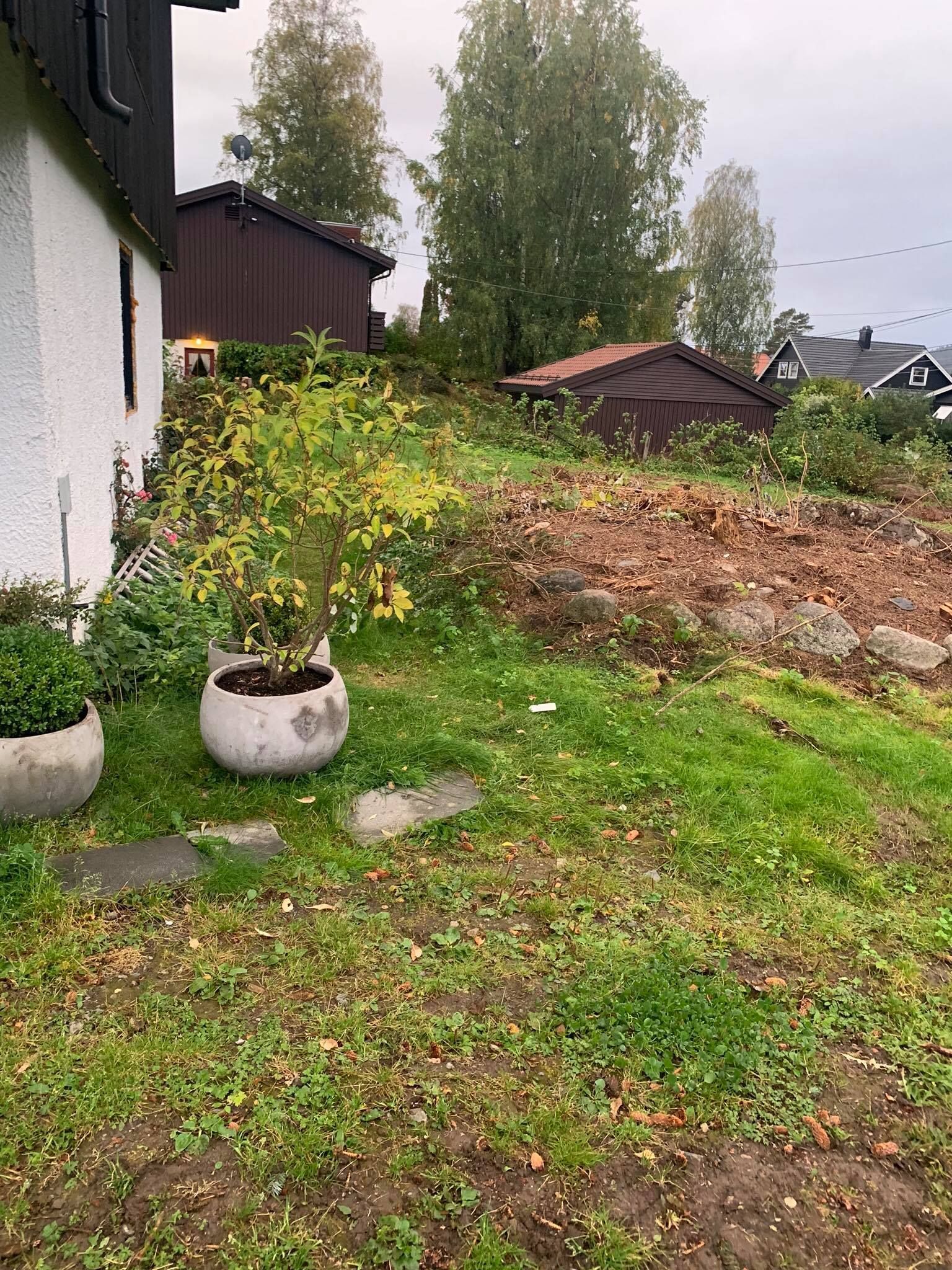 Bakgård med pottebusk, gress, jordhaug og høye trær ved siden av hus