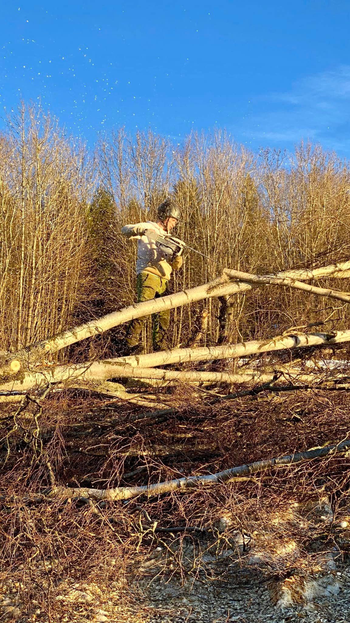 Arbeider i gul hjelm på en trekonstruksjon blant tørre kratt under en blå himmel