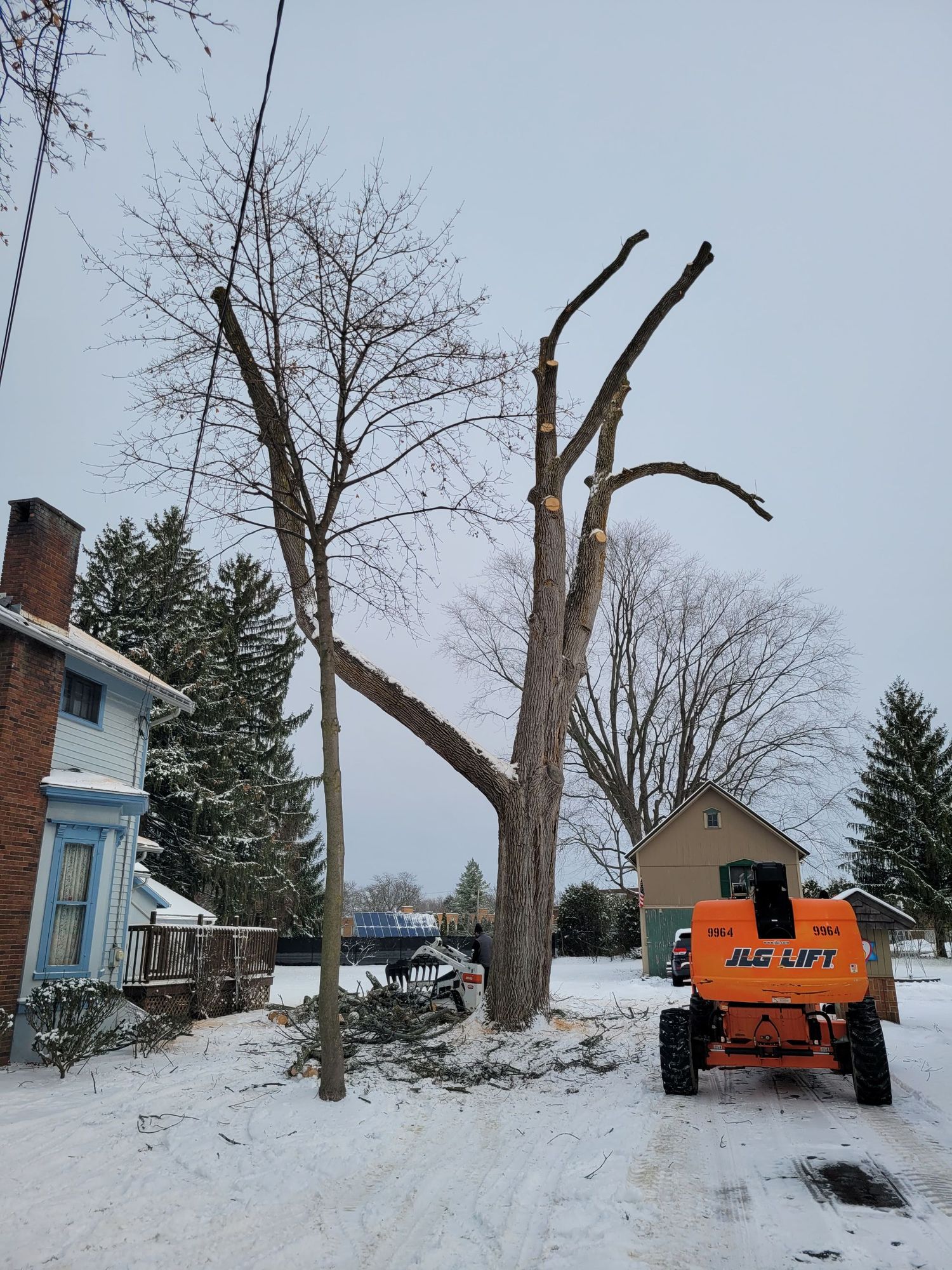 An orange cherry picker sits in a snowy yard next to a large tree that has been partially trimmed of its branches.