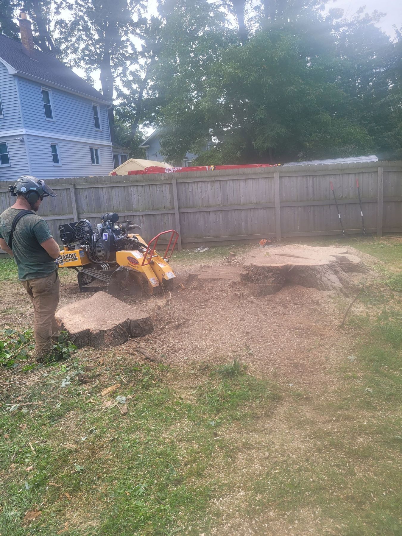 A worker in protective gear uses a yellow stump grinder to clear a tree stump in a grassy backyard near a wooden fence.