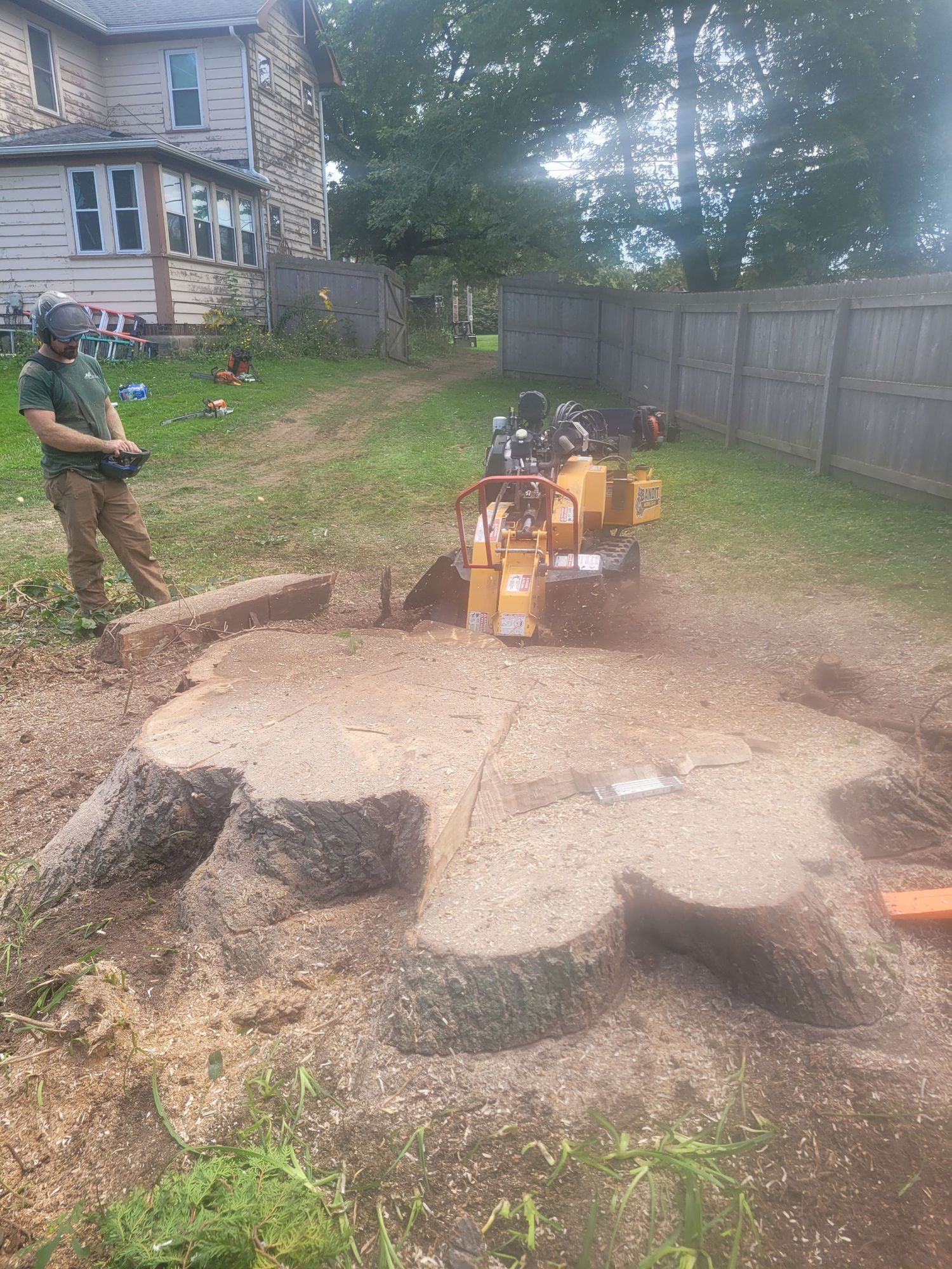 A worker operating a yellow stump grinder on a large tree stump in a residential yard with a fence and house nearby.