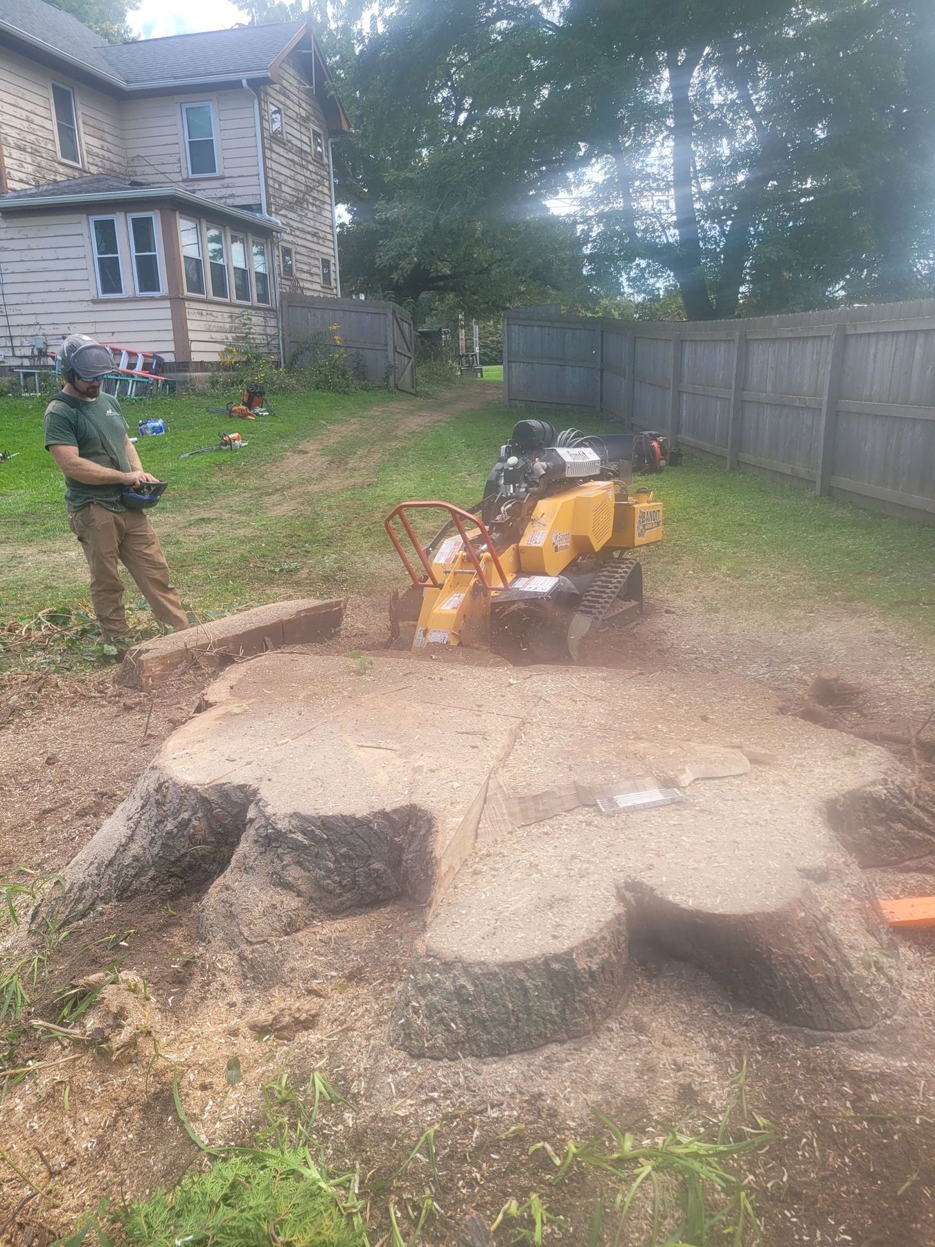 A person in a green shirt operates a yellow stump grinder on a large tree stump in a yard with a house and fence nearby.