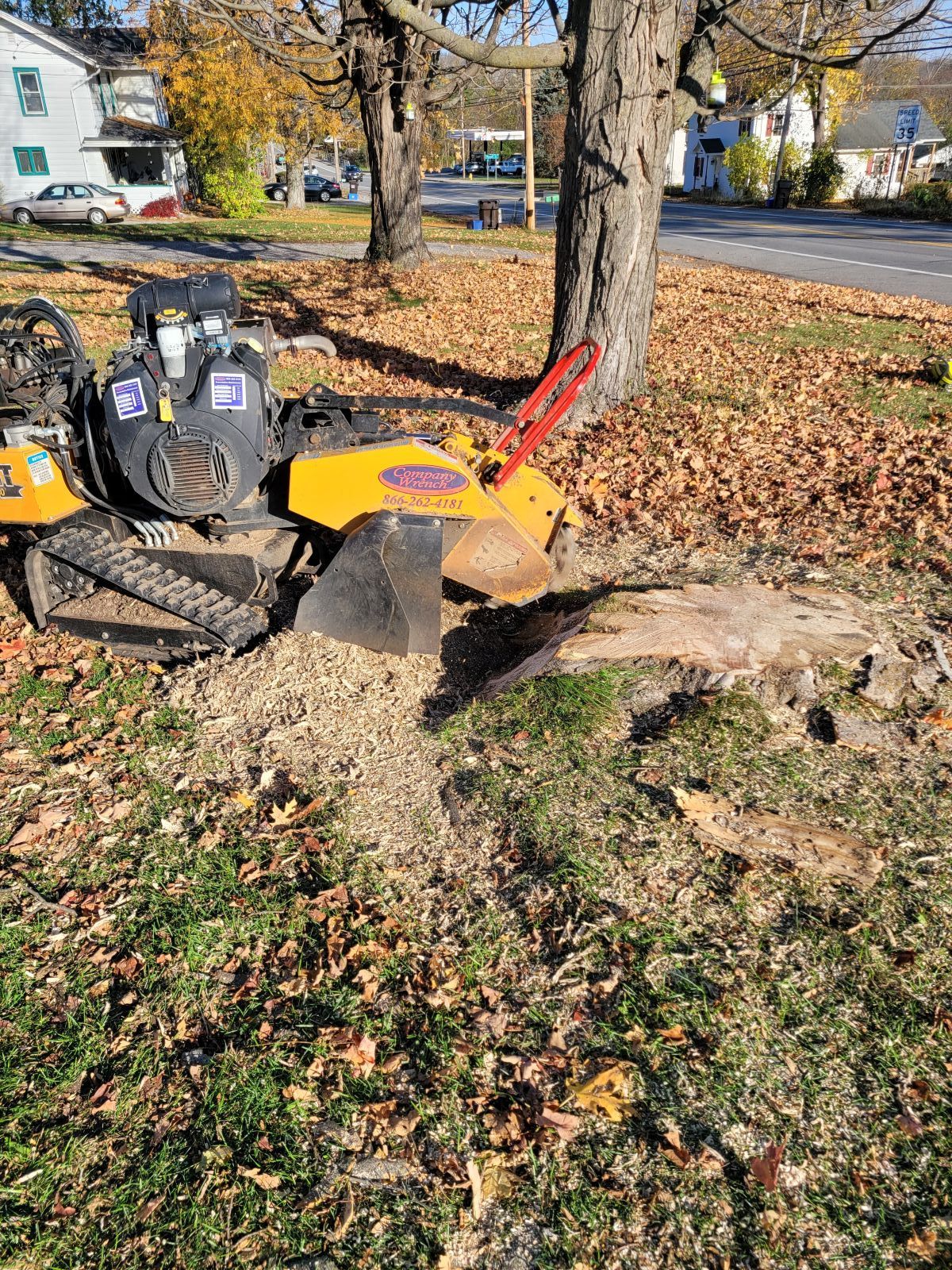 A yellow stump grinder sits on a lawn covered in fallen leaves, actively grinding down a tree stump.