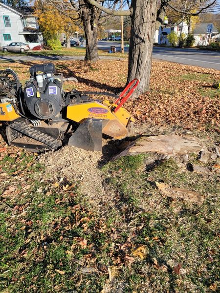 A yellow stump grinder sits on a lawn covered in fallen leaves, actively grinding down a tree stump.