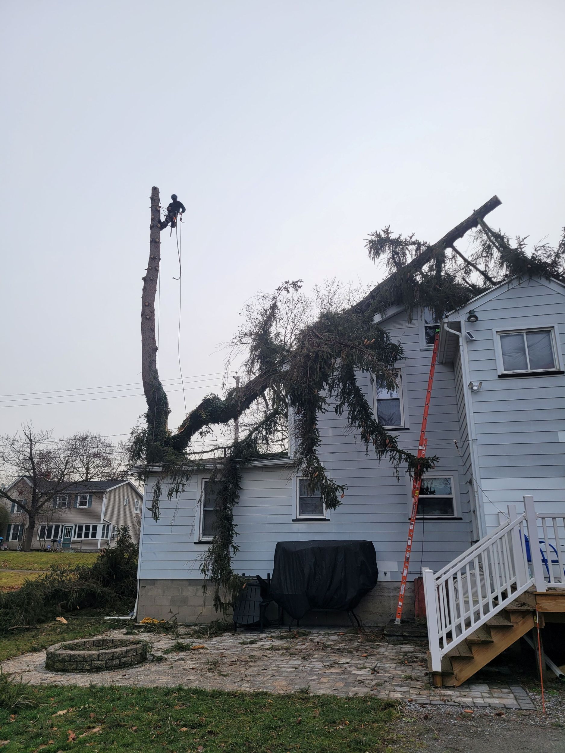A worker in safety gear trims a large tree that has fallen onto the roof of a two-story white house.