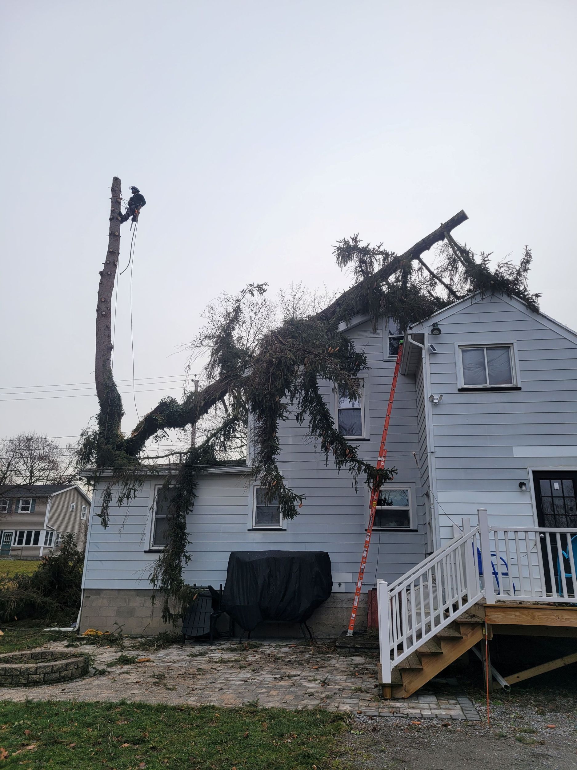 A partially cut tree trunk stands next to a two-story house with a large fallen tree branch resting on its roof.