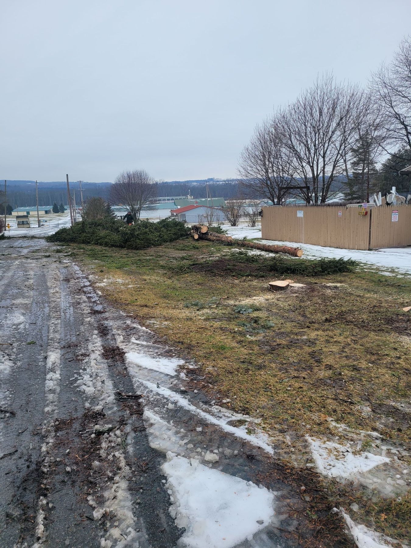 A fallen tree lies across a grassy area next to a muddy road and a wooden fence on a cold, overcast day.