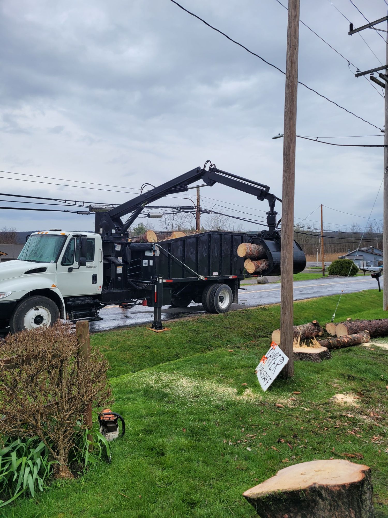 A white log loader truck with a grapple arm lifts cut timber into its bed near utility lines and a tree stump.