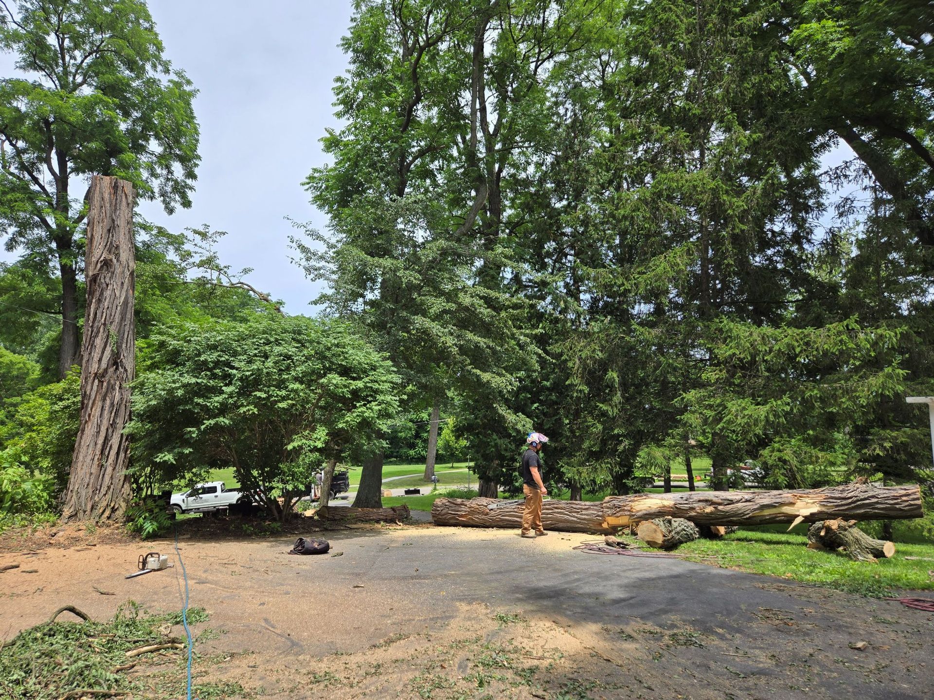 A worker stands near a fallen tree trunk on a paved driveway surrounded by trees in a wooded residential setting.