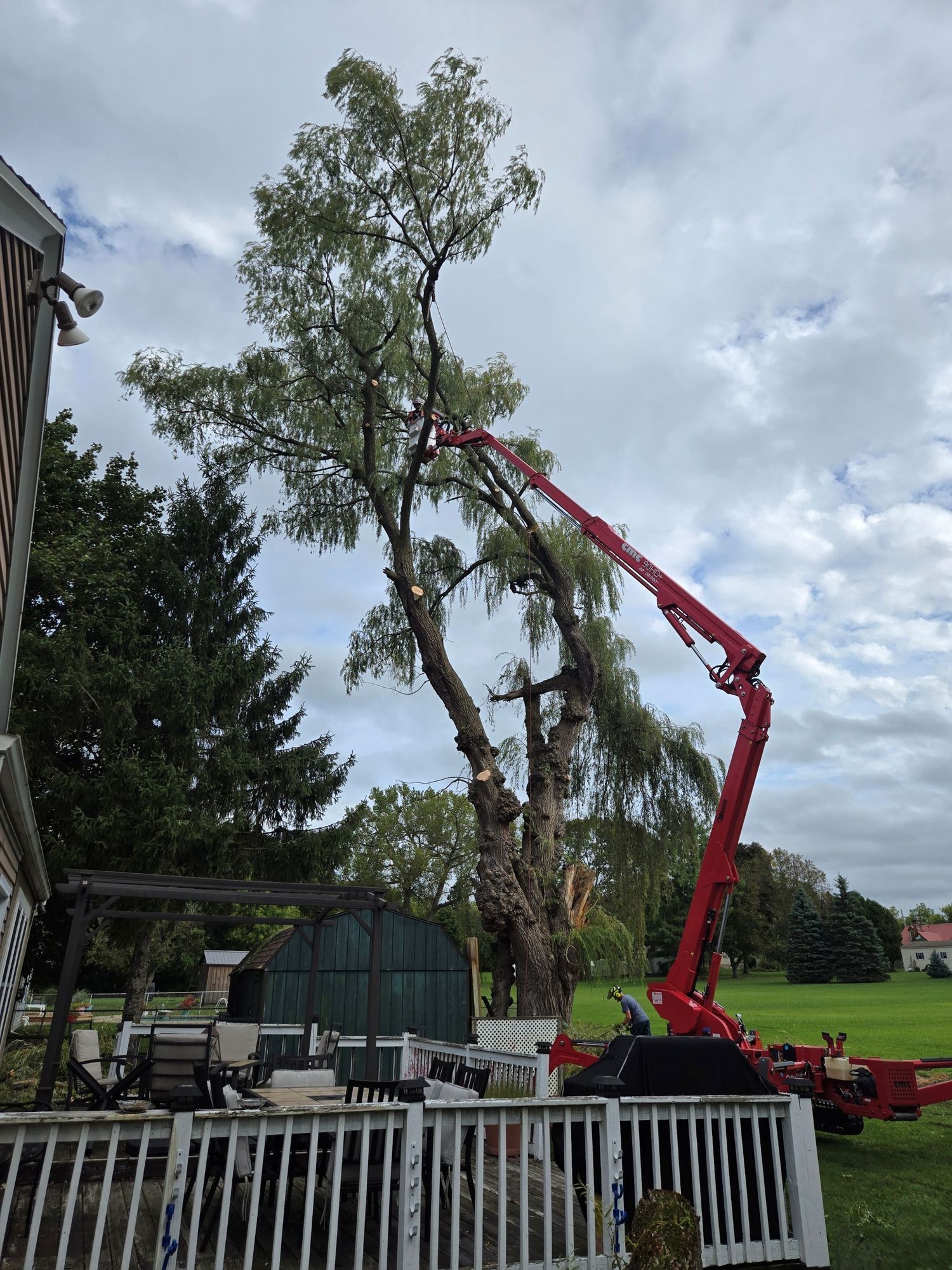 A red lift arm extends into the canopy of a tall tree to perform trimming work next to a residential deck and white fence.