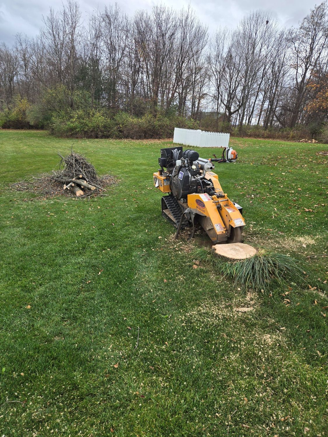 A yellow stump grinder sits on a grassy lawn next to a wood pile and a freshly ground tree stump.
