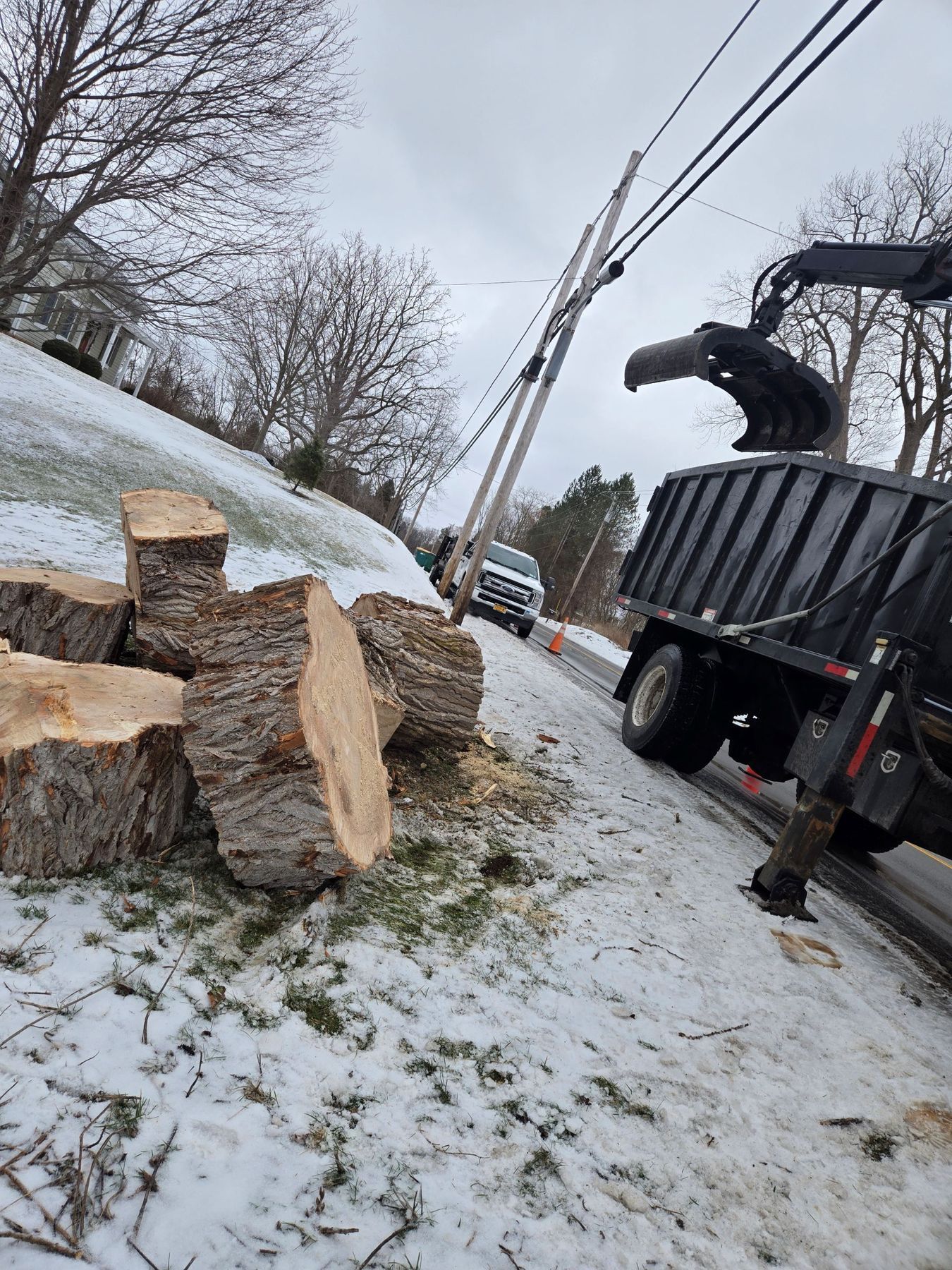 A grapple truck removes large cut tree logs from a snowy roadside near power lines.