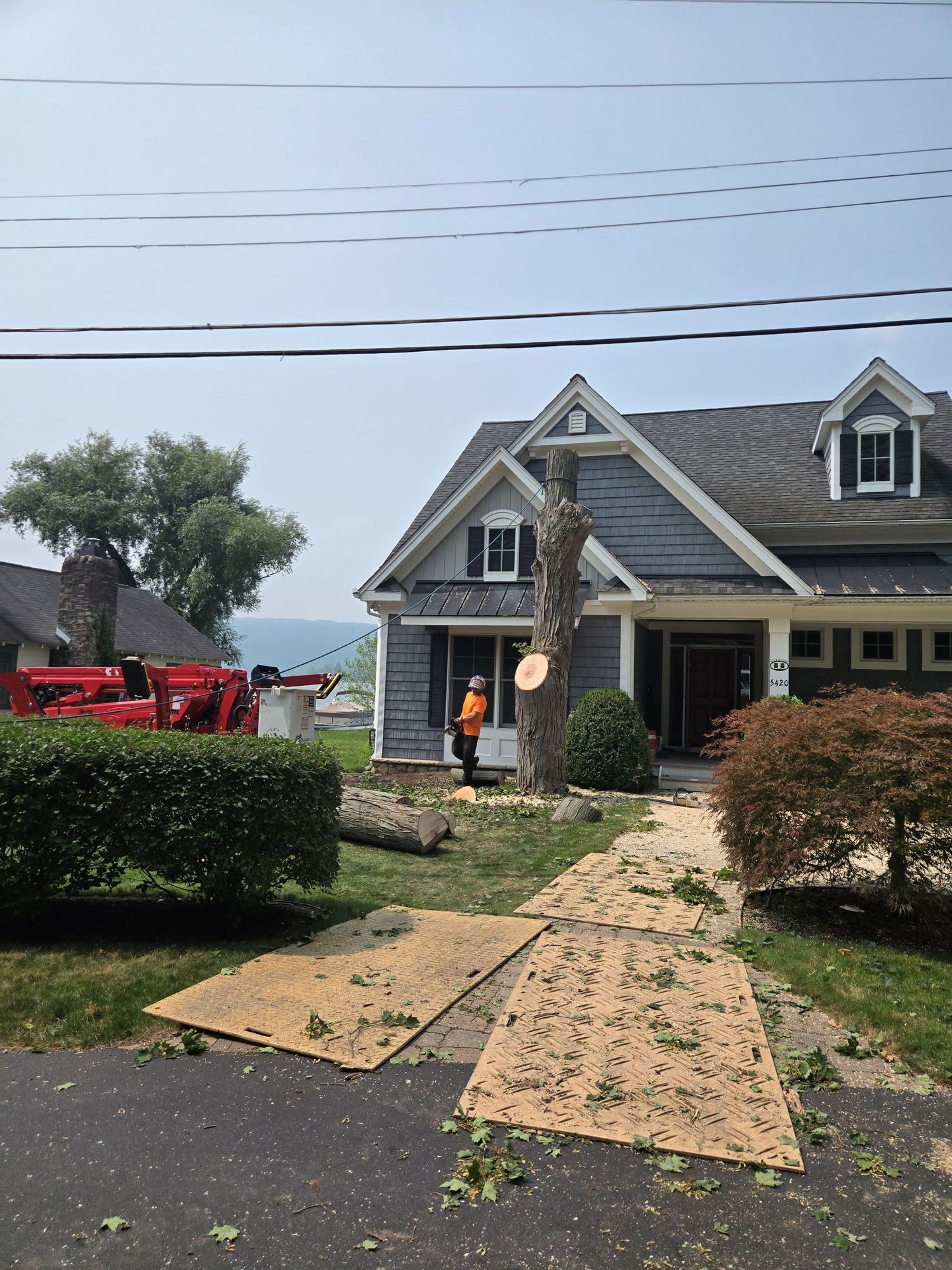 A worker in orange gear stands near a partially cut tree in front of a house, with protective mats laid on the lawn.