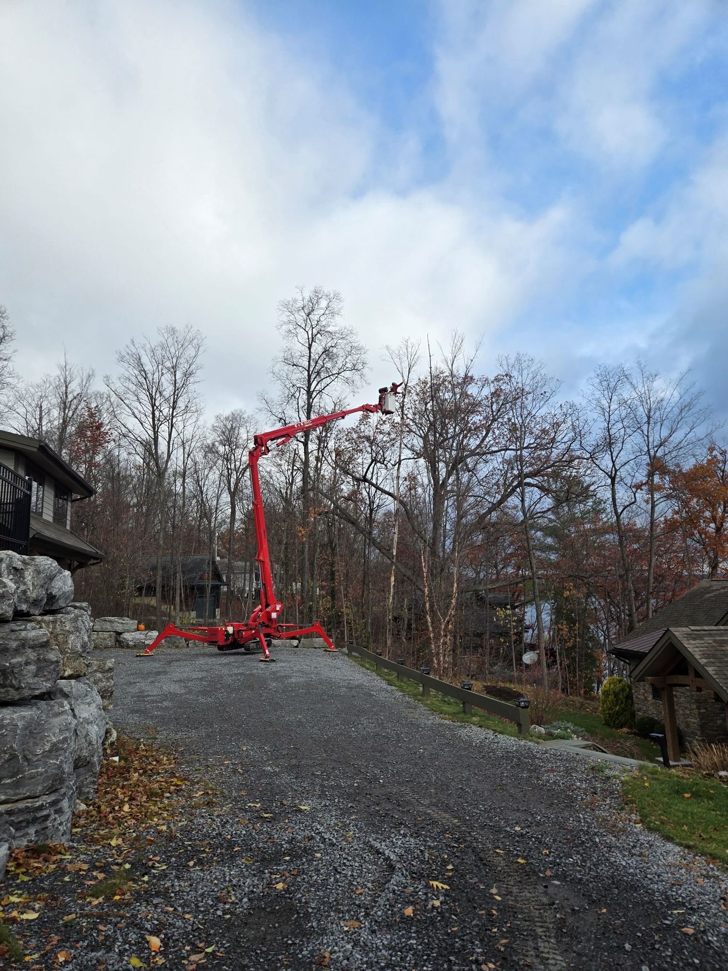 A red spider lift positioned on a gravel driveway, with its boom extended high into bare trees against a cloudy sky.
