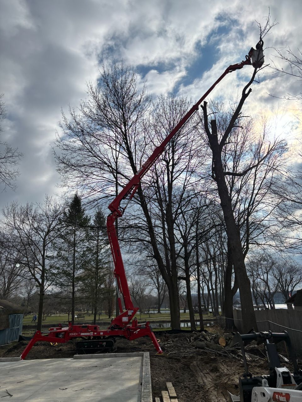 A red articulated boom lift extends high into the air to trim branches from a tall tree on a cloudy day.