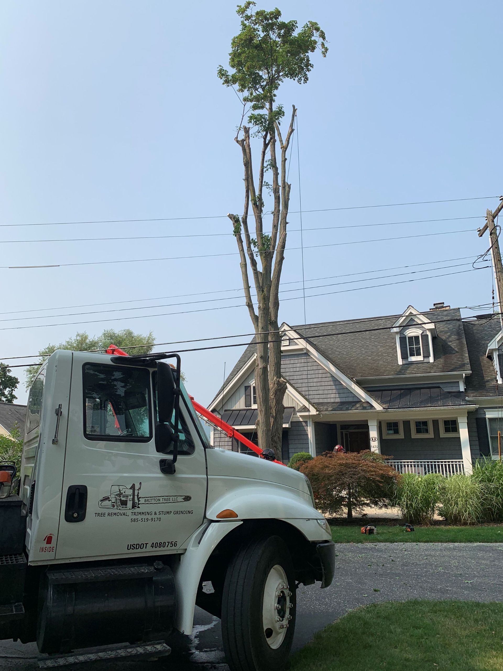 A white utility truck parked in front of a house, with a partially pruned, tall tree standing behind it.