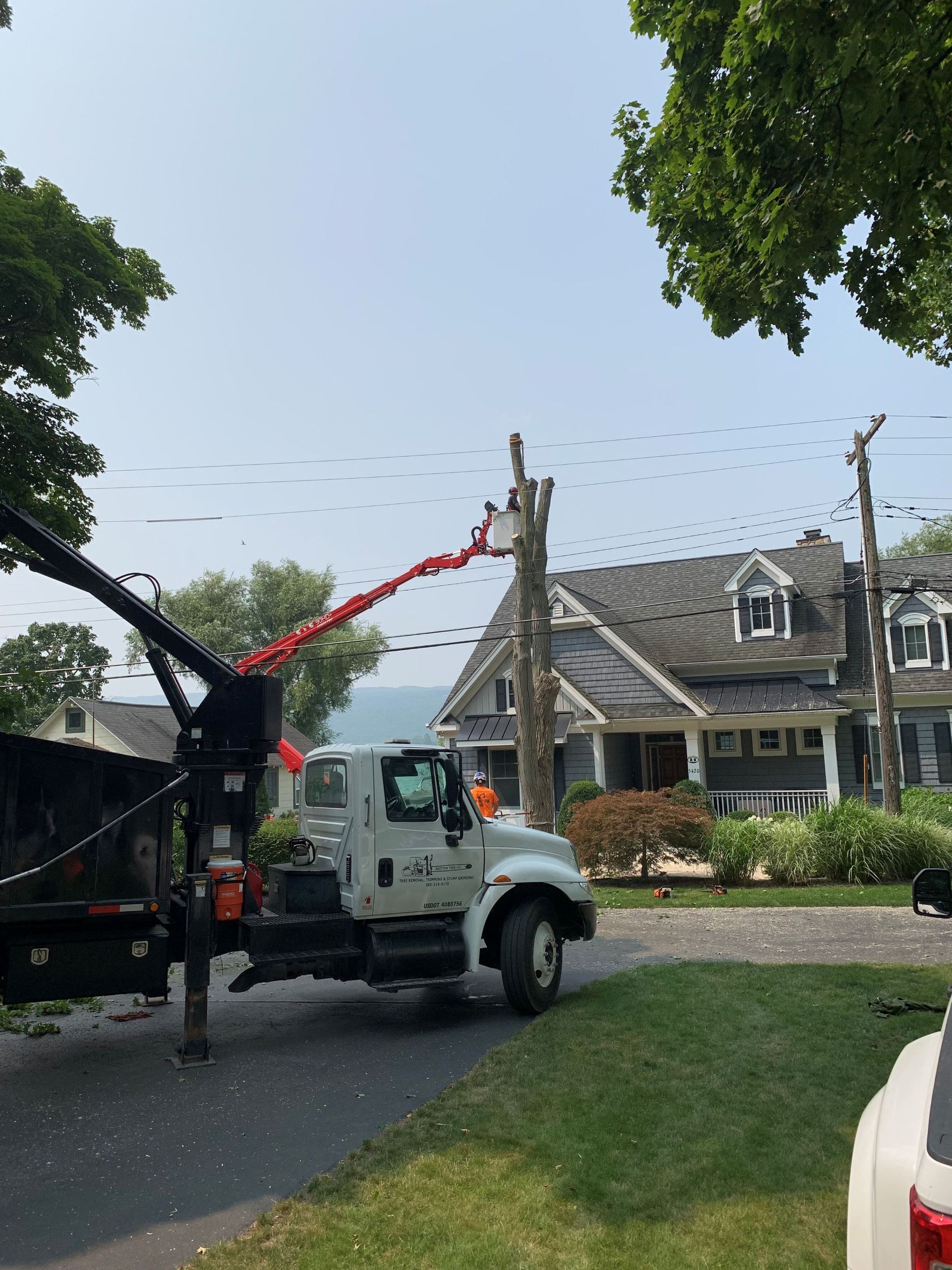 A white tree service truck parked in a driveway with an elevated worker trimming a tall, bare tree near a house.