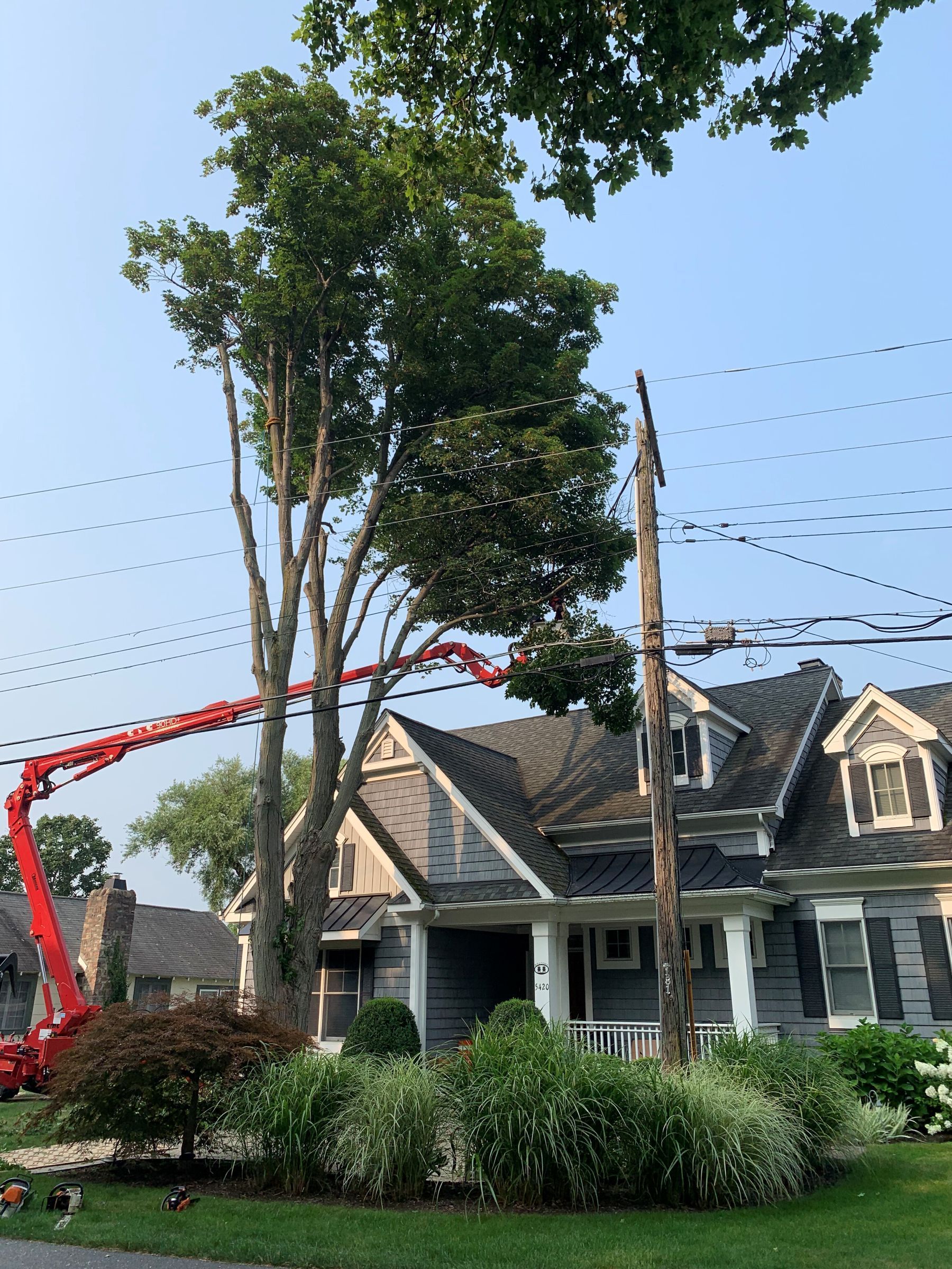 A bright red cherry picker reaches toward a large tree being pruned in front of a gray two-story house.