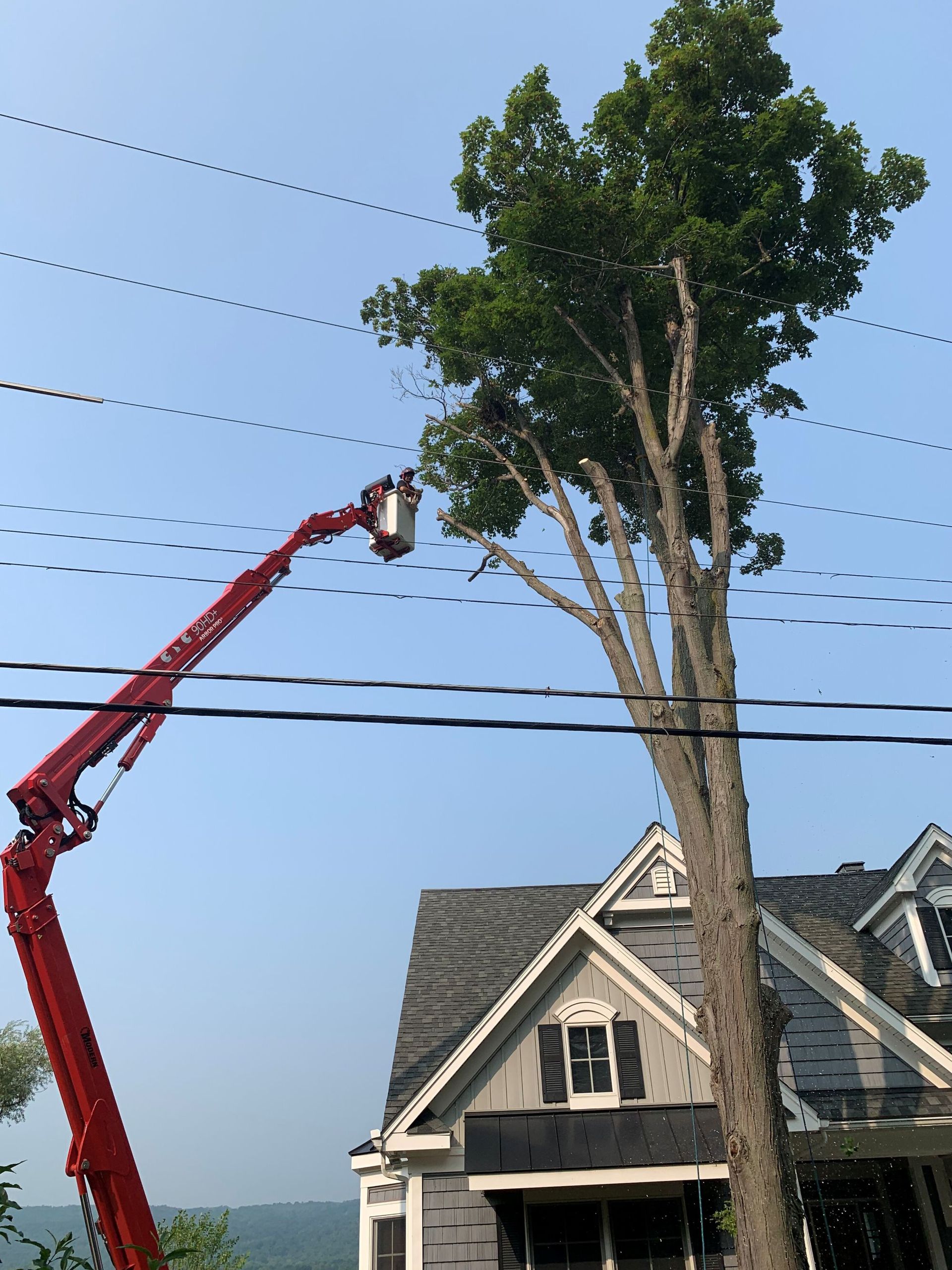 A red bucket truck reaches toward a tall tree being pruned near a house and overhead utility lines.