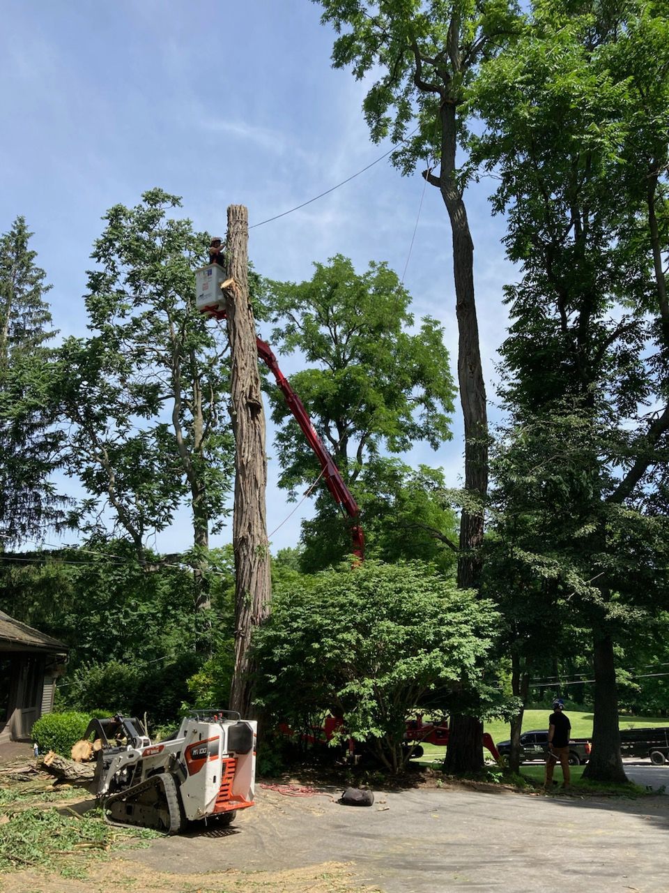 A worker in a bucket truck cuts down a tall, bare tree trunk, with a skid steer parked at the base on a sunny day.
