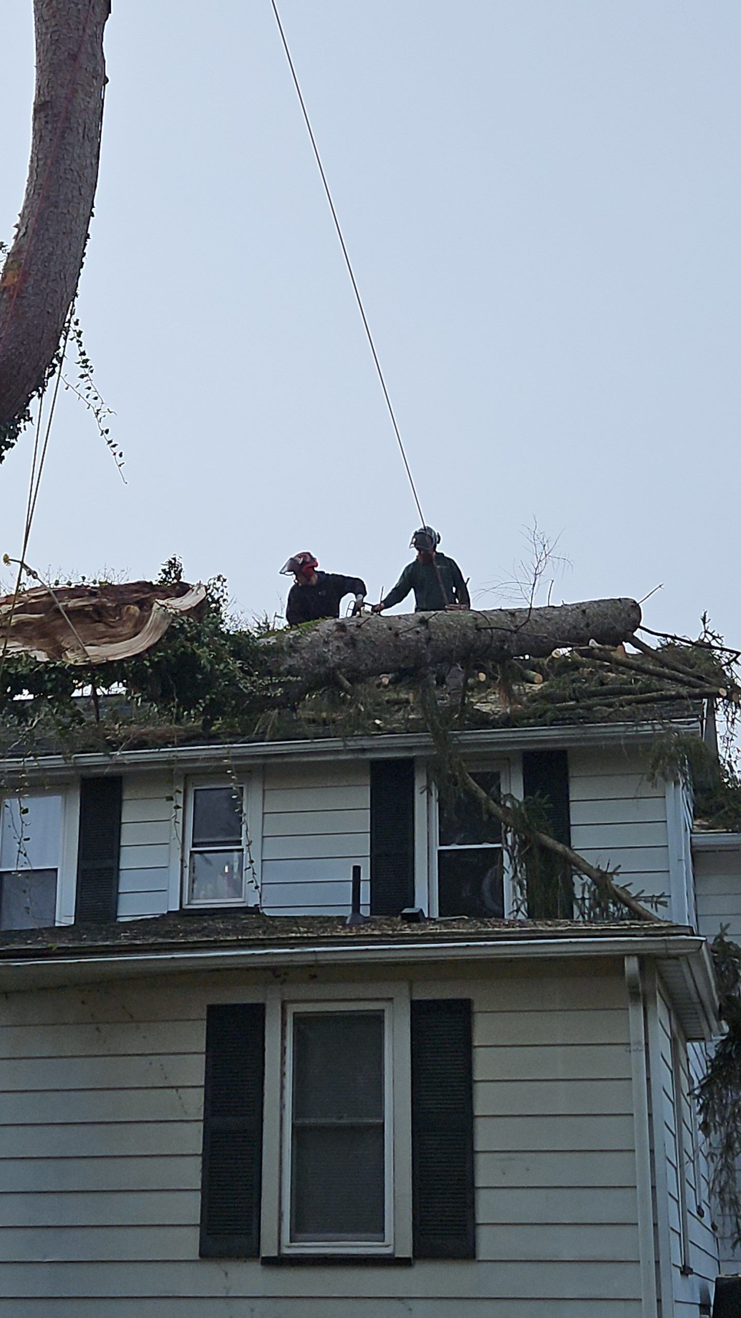 Two workers stand on the roof of a house, removing a large tree that has fallen onto it, lifted by a crane cable.