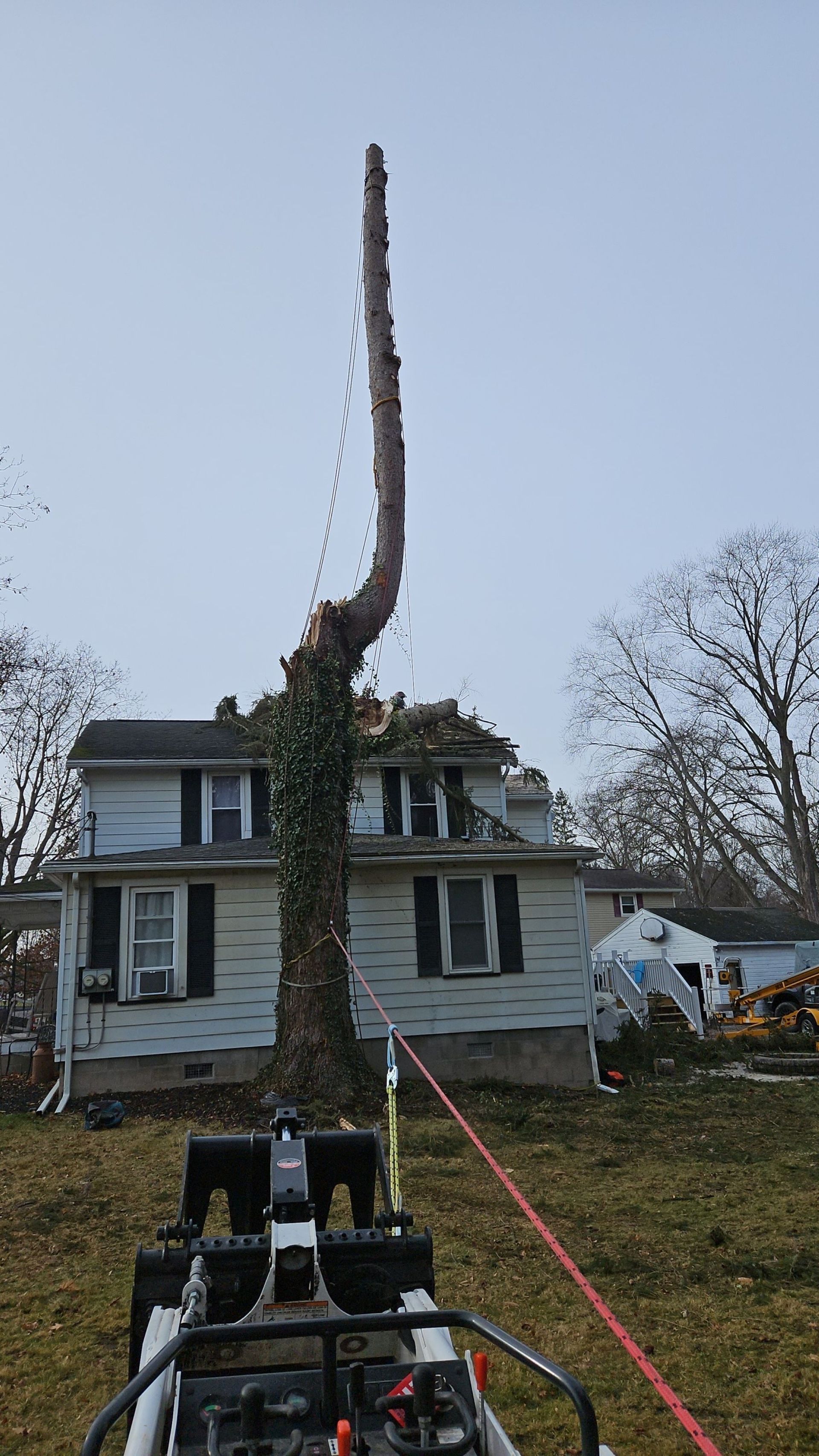 A tall, partially cut tree standing in front of a white house, with a mechanical crane visible in the foreground.
