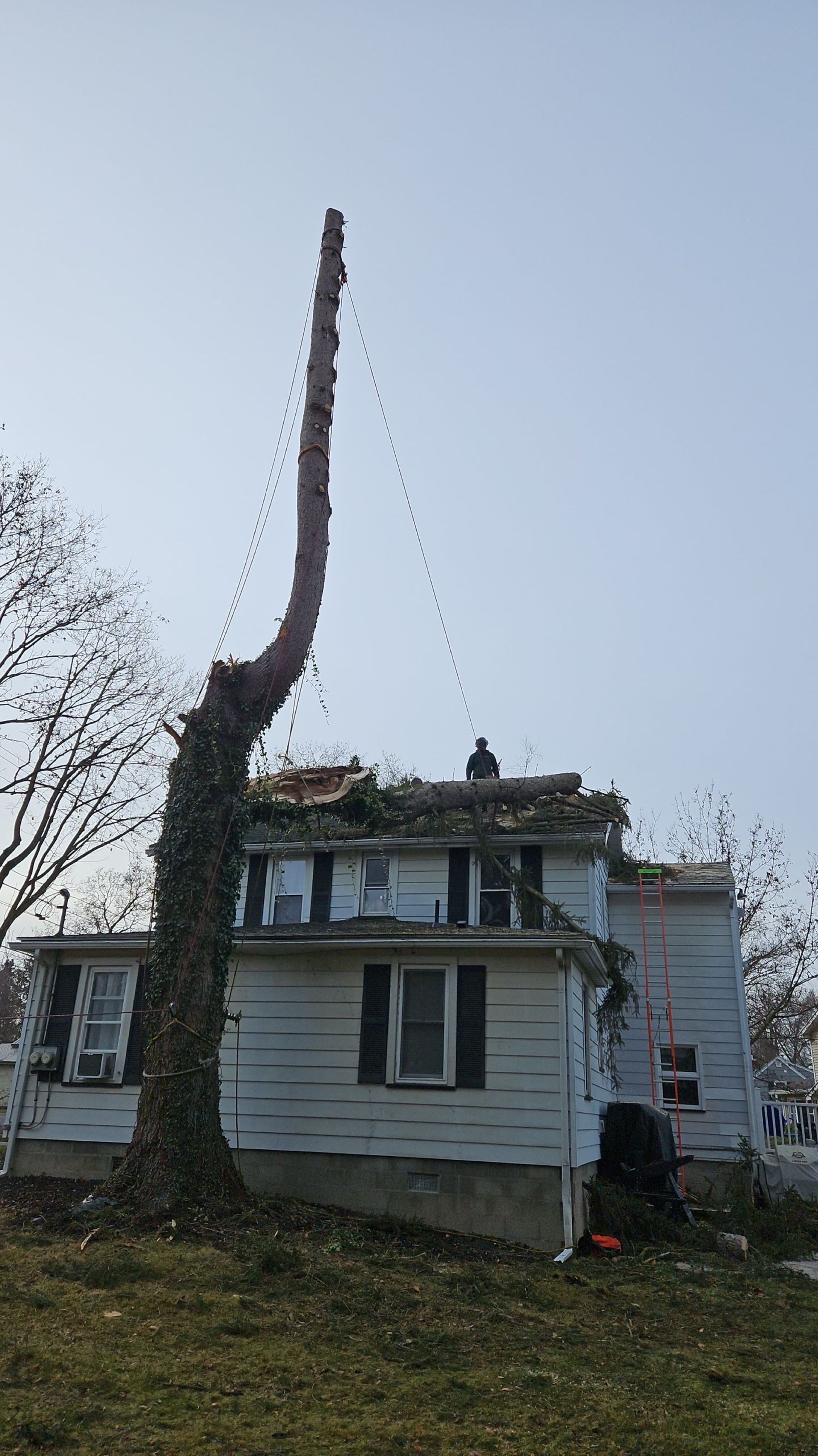 A tall, bare tree trunk stands next to a two-story white house with a damaged roof, where a worker is positioned.