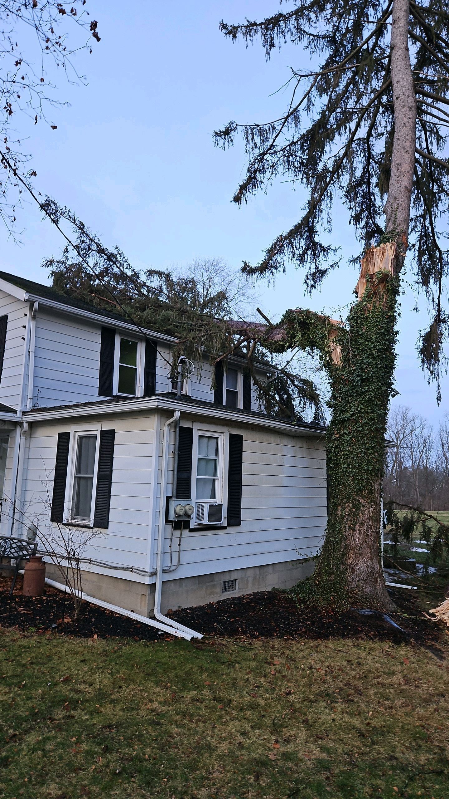 A tall tree has broken off and fallen onto the roof of a white two-story house.