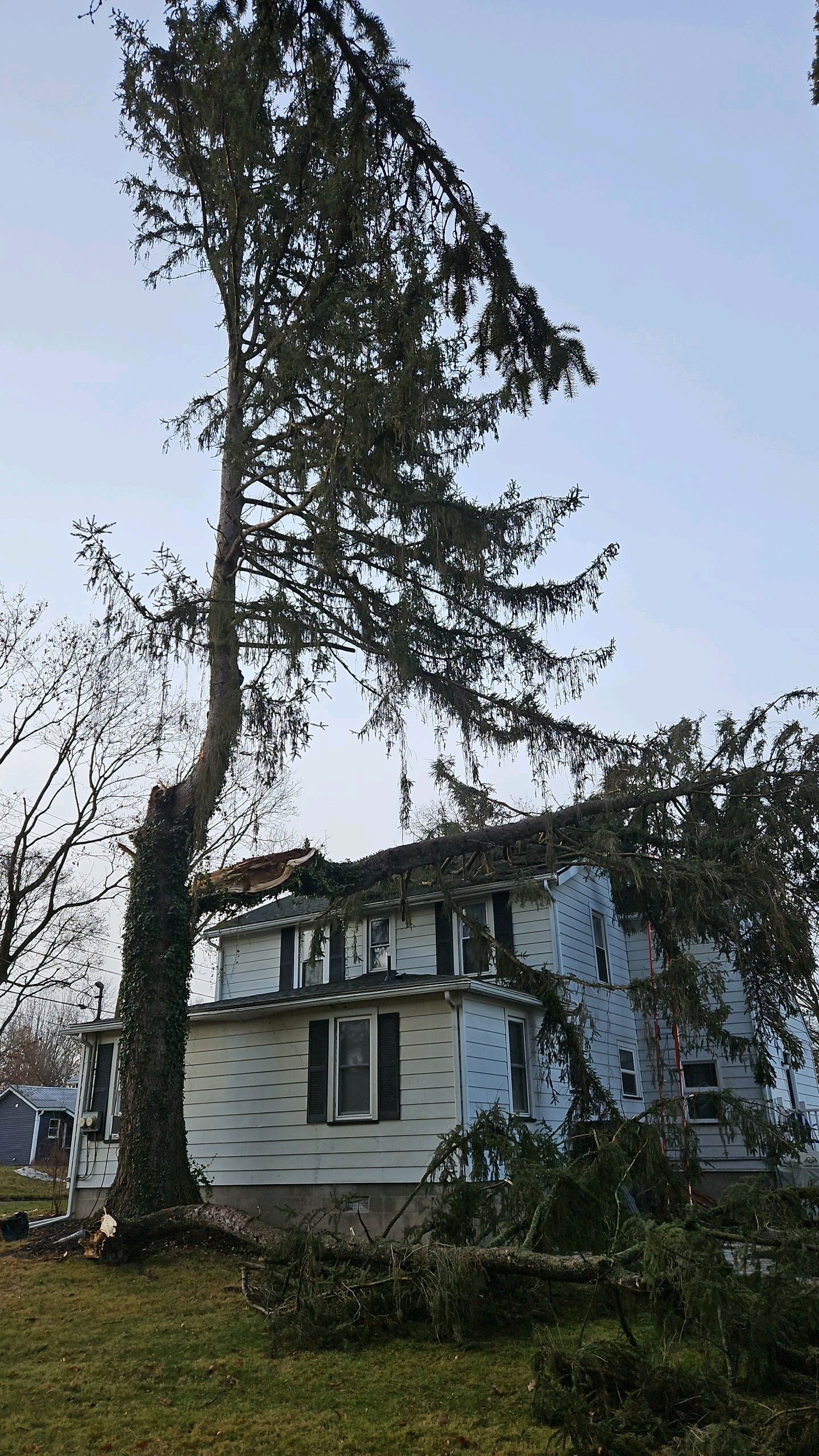A large, storm-damaged evergreen tree has fallen onto the roof of a two-story white house.