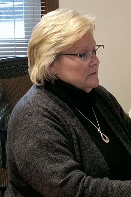Pam Hildebrand at Hayes Insurance Agency in Adrian, Michigan