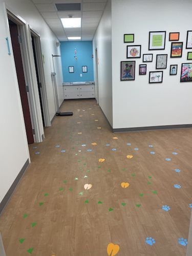 Hallway with framed wall art and colorful footprints on the floor leading to a blue wall.