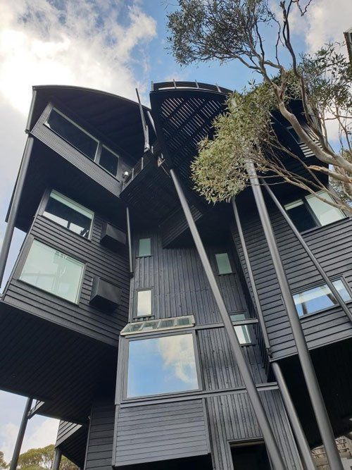A black building with a tree in the middle of it