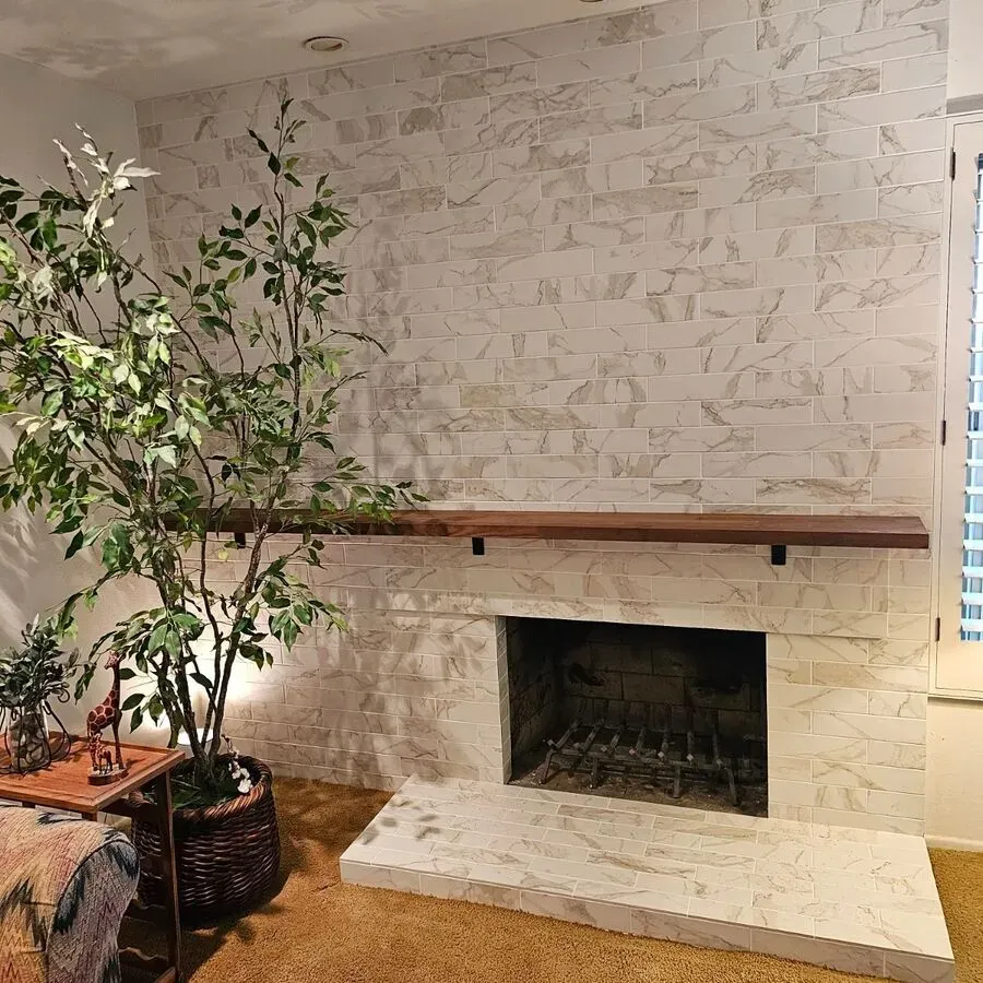 A living room with a fireplace and a potted plant