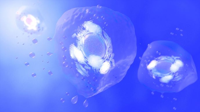 Exosome Therapy