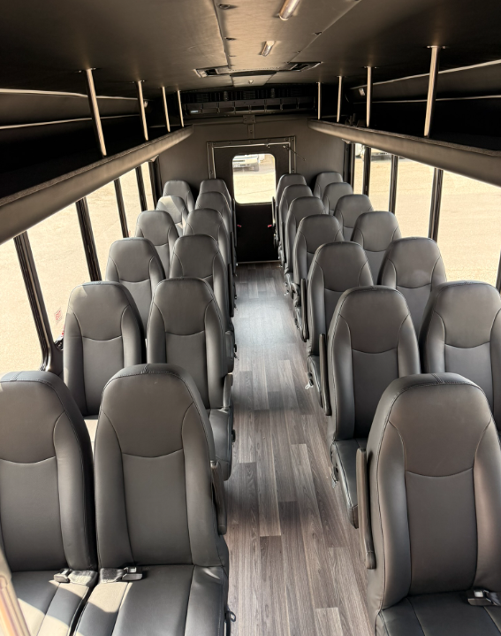 A row of buses are parked in a parking lot