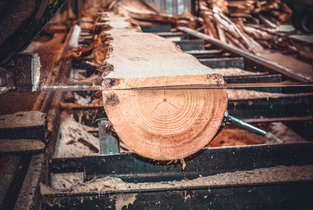 Piece of Wood is Being Cut With a Saw in a Factory — Ken Willis Joinery Pty Ltd In South Grafton, NSW