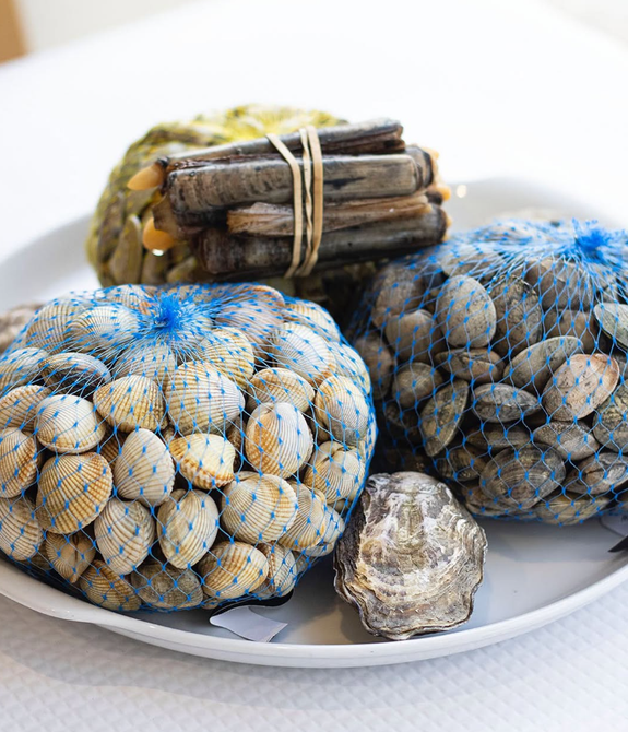 Prato com frutos do mar embalados, incluindo mariscos e bolinhos de peixe, em um prato branco.