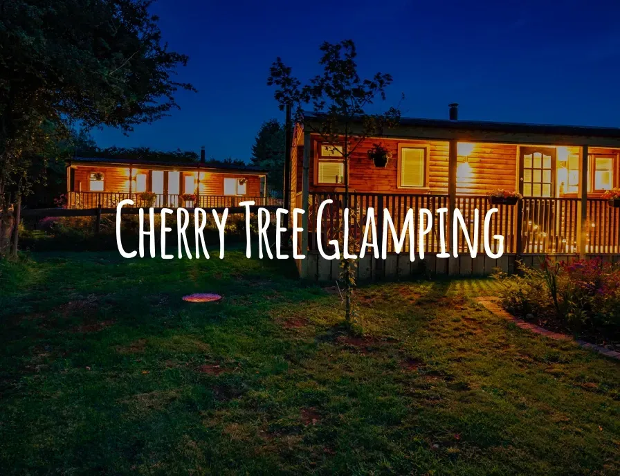 A picture of a cherry tree glamping at night