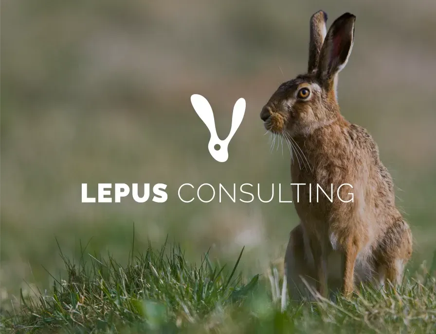 A rabbit is sitting in the grass next to a logo for lepus consulting.
