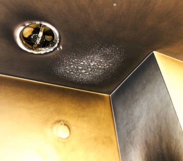 Fire Restoration Contractors You Can Rely On
