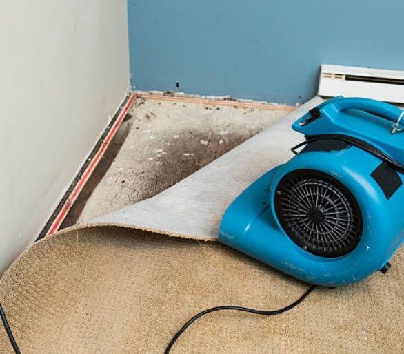 24/7 Water Cleanup Services – St. Paul, MN